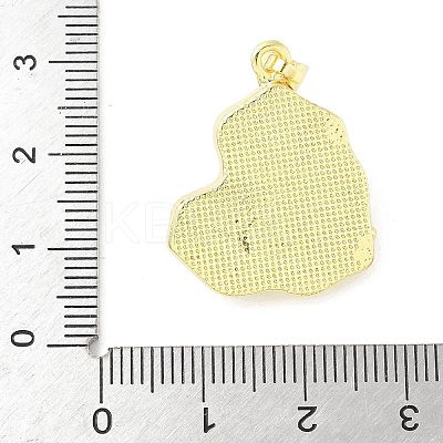 Brass Enamel Pendants KK-Z101-09G-C02-1
