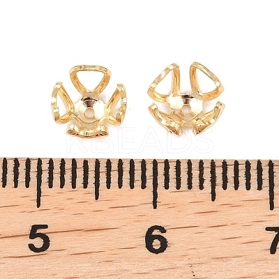 Brass Bead Caps KK-C163-05G-1