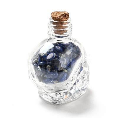 Mixed Gemstones Chips in Skull Glass Bottle Display Decorations DJEW-G039-02-1