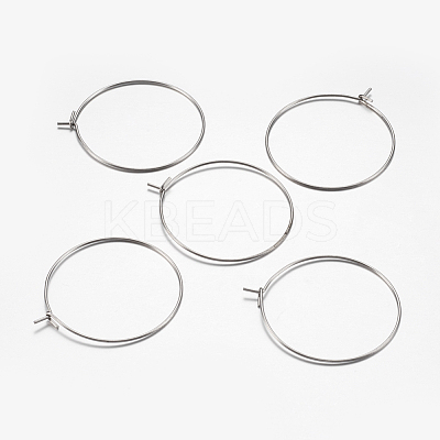 316 Surgical Stainless Steel Hoop Earrings Findings STAS-I097-050A-1