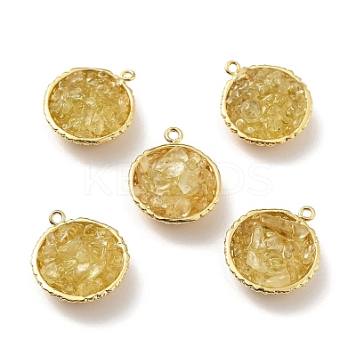 Natural Citrine Chip Pendants KK-C242-05G-18-1