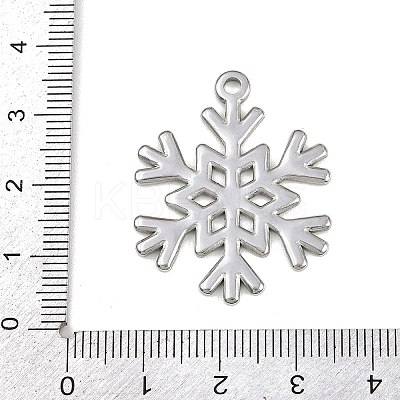 304 Stainless Steel Pendants STAS-G354-04GP-1