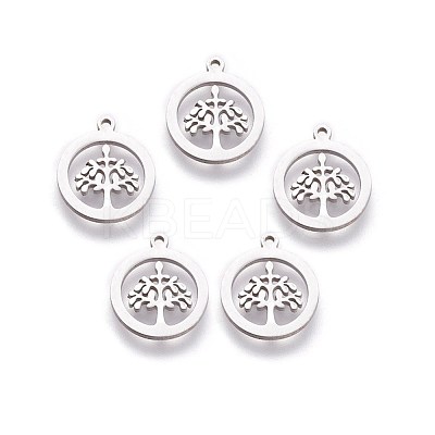 Non-Tarnish 304 Stainless Steel Charms X-STAS-I098-03-1
