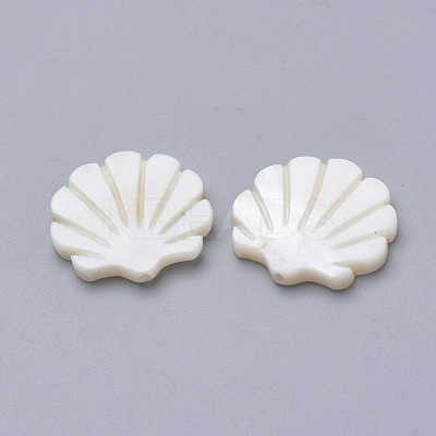 Natural Freshwater Shell Beads SHEL-T007-03-1