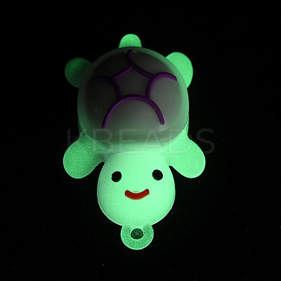Luminous PVC Pendants LS-KY-P019-01C-1