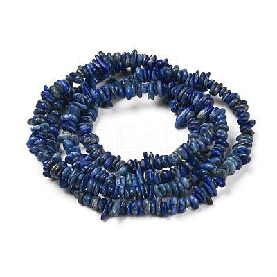 Natural Lapis Lazuli Stone Bead Strands G-R192-13-1