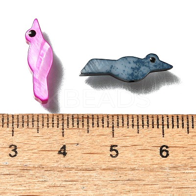 Natural Freshwater Shell Beads SHEL-Q008-87-1