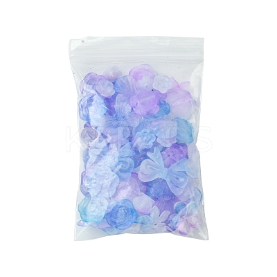 60G Transparent Acrylic Beads OACR-FS0001-90B-1