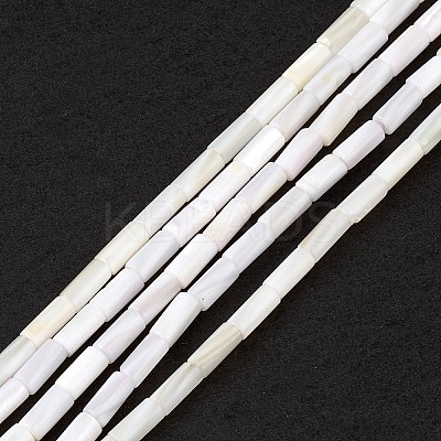 Natural Freshwater Shell Dyed Beads Strands SHEL-M018-11-12-1
