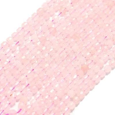 Natural Rose Quartz Beads Strands G-A260-A06-01-1