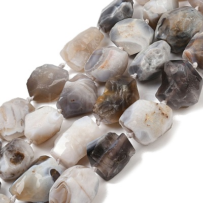 Raw Rough Natural Botswana Agate Beads Strands G-S396-04A-1