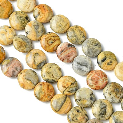 Flat Round Natural Crazy Lace Agate Beads Strands G-S110-05-1