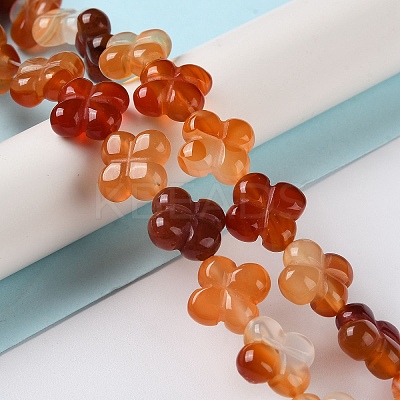 Natural Carnelian Beads Strands G-M418-D02-01-1