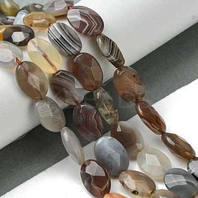 Natural Botswana Agate Beads Strands G-H004-B02-03-1