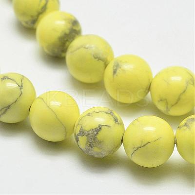 Natural Howlite Beads G-G904-8mm-05-1