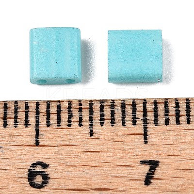 2-Hole Baking Paint Glass Seed Beads SEED-S023-17C-05-1