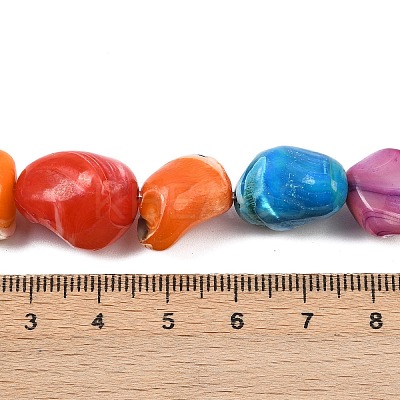Natural Trochid Shell/Trochus Shell Beads Strands SHEL-B005-06-1