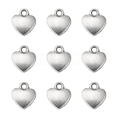 Tibetan Style Alloy Charms LS-LF1170Y-1
