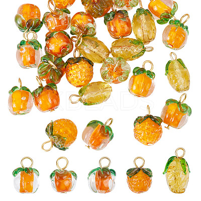 30Pcs 5 Styles Glass & Lampwork Pendants PALLOY-AR00021-1