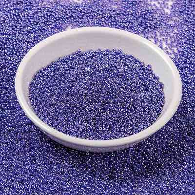 MIYUKI Round Rocailles Beads X-SEED-G009-RR0432-1