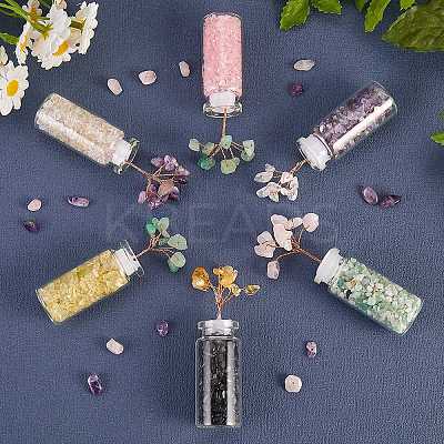 6Pcs 6 Style Natural Gemstone Chip Money Tree Display Decorations DJEW-SZ0001-07-1