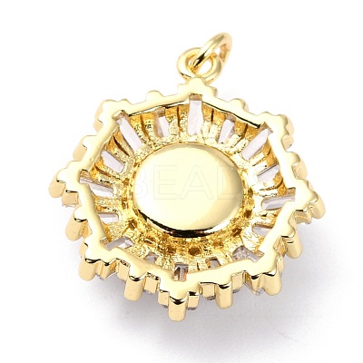 Brass Micro Pave Cubic Zirconia Pendants ZIRC-O044-21B-G-1