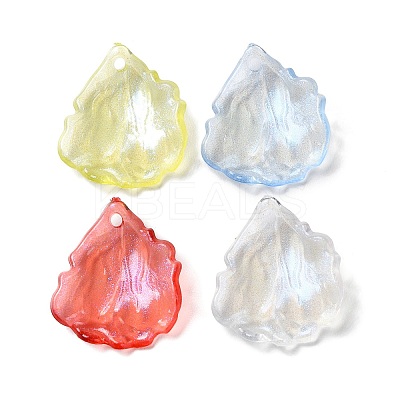 AB Color Transparent Acrylic Pendnat SACR-A006-13-1