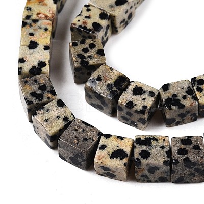 Natural Dalmatian Jasper Beads Strands G-T139-6x6-17A-1