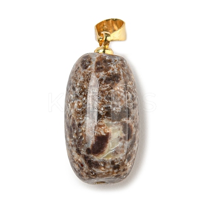 Natural Agate Pendants LS-G-D094-05B-G-1