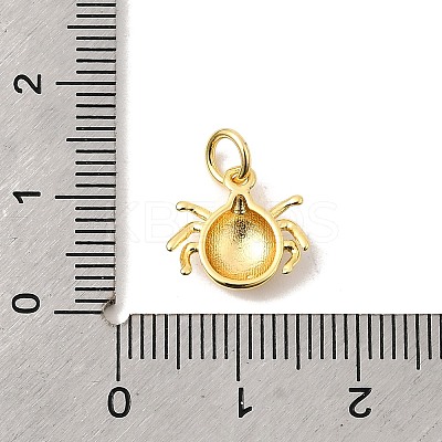 Brass Charms KK-I364-05G-02-1
