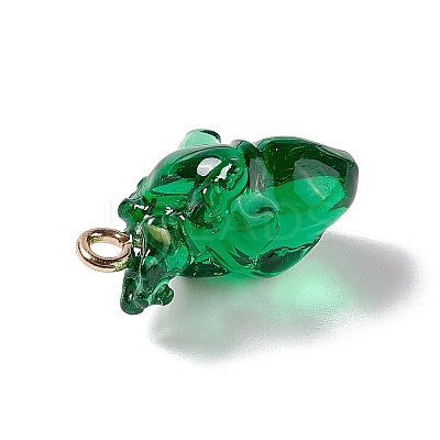 Transparent Resin Pendants LS-RESI-E028-01G-10-1