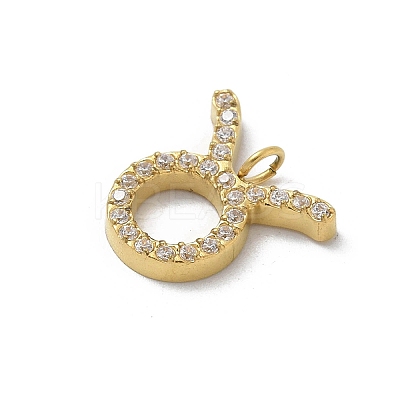 Ion Plating(IP) 304 Stainless Steel Micro Pave Cubic Zirconia Charms STAS-Z107-09G-03-1