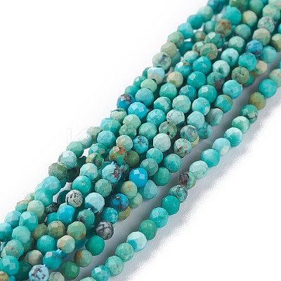 Natural HuBei Turquoise Beads Strands G-A026-A10-2mm-1
