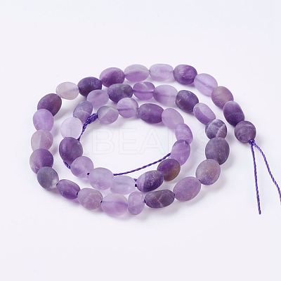 Natural Amethyst Bead Strands G-J374-02-1