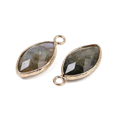 Natural Labradorite Faceted Pendants G-G193-01G-10-1