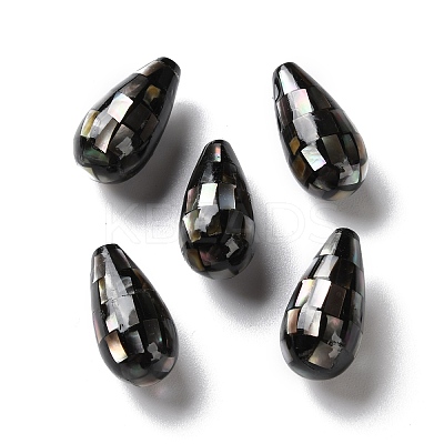 Natural Black Lip Shell Beads SSHEL-B002-10A-01-1