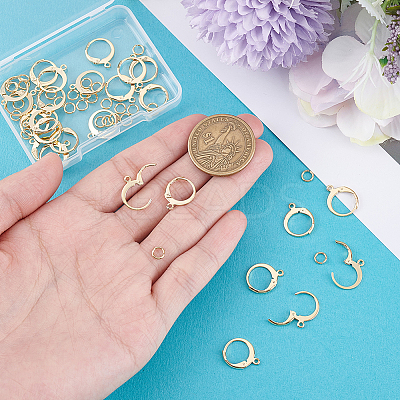 30Pcs 304 Stainless Steel Leverback Earring Findings STAS-BBC0009-21-1