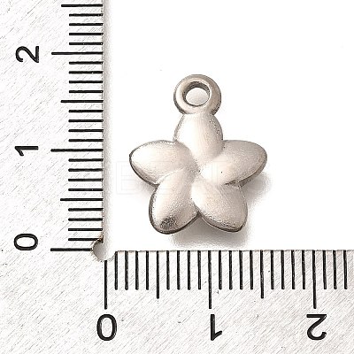 304 Stainless Steel Pendants STAS-P381-10P-1
