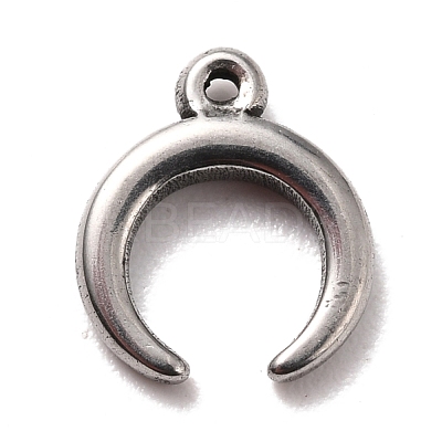 Non-Tarnish 304 Stainless Steel Charms STAS-B024-27P-1