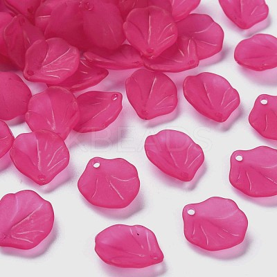 Transparent Frosted Acrylic Pendants MACR-S371-02A-706-1