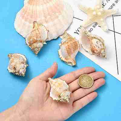 5Pcs Natural Sea Shell Big Pendants with Golden Brass Edge BSHE-YW0001-16-1