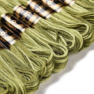 10 Skeins 6-Ply Polyester Embroidery Floss OCOR-K006-A33-1