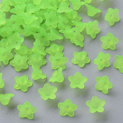 Transparent Acrylic Beads PL554-14-1