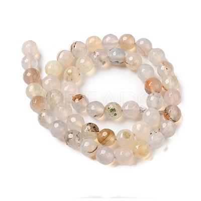 Dyed & Heated Natural Agate Beads Strands G-P539-D01-01-1