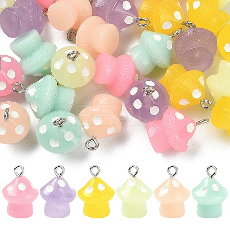 30Pcs 6 Colors Luminous Opaque Resin Pendants JACR-YW0001-03-1