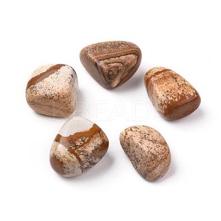 5Pcs Natural Picture Jasper Beads G-FS0002-07-1