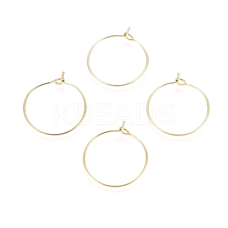 Ion Plating(IP) 316L Surgical Stainless Steel Hoop Earring Findings LS-STAS-D164-06G-1