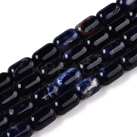 Natural Sodalite Beads Strands G-G980-37B-1