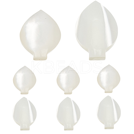 8Pcs 2 Styles Natural Shell Petaline Charms SHEL-GO0001-11-1