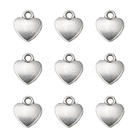 Tibetan Style Alloy Charms LS-LF1170Y-1